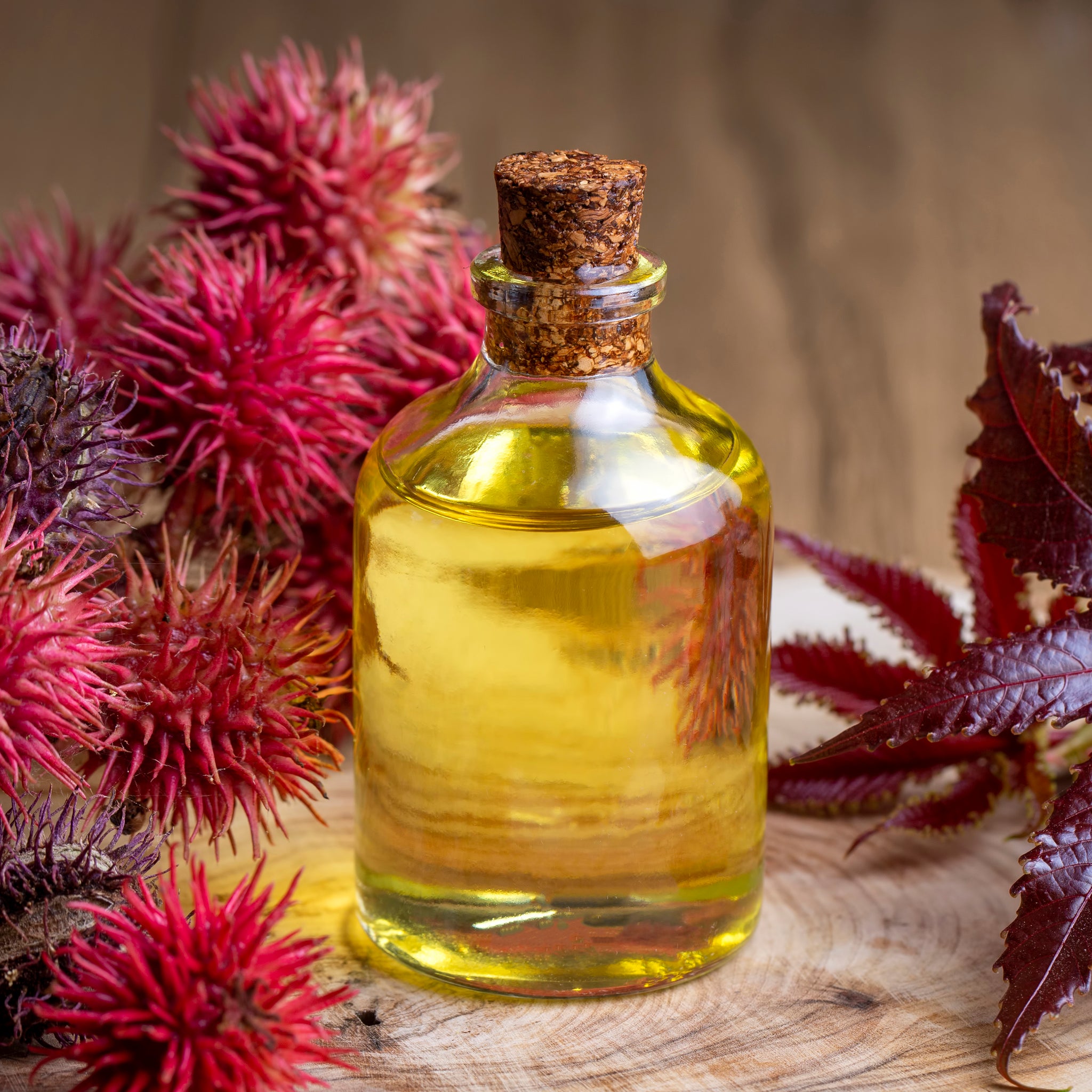 Unveiling the Magic of Jamaican Black Castor Oil: Nature's Gift for Healthy Hair and Skin