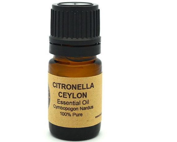 Discover the Power of Citronella Essential Oil (Ceylon) 15 ml